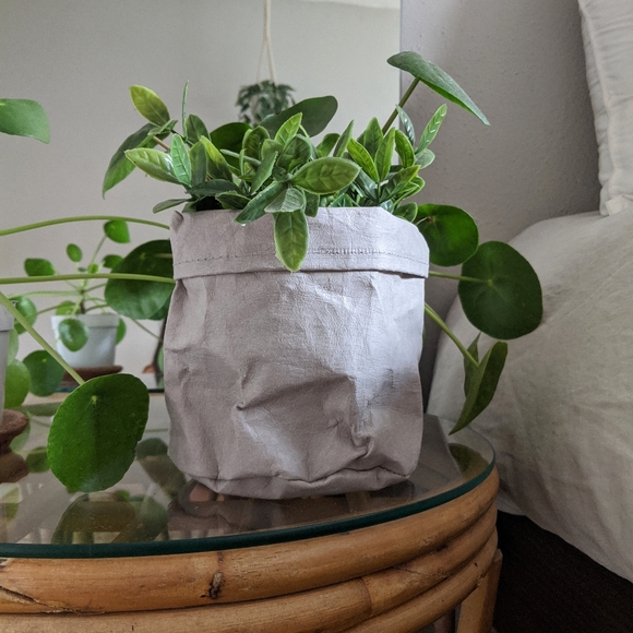 Refinement House Other - Kraft Waterproof RH Planter